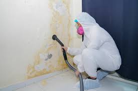 Best Comprehensive Air Testing for Mold Contaminants  in Walnut, CA